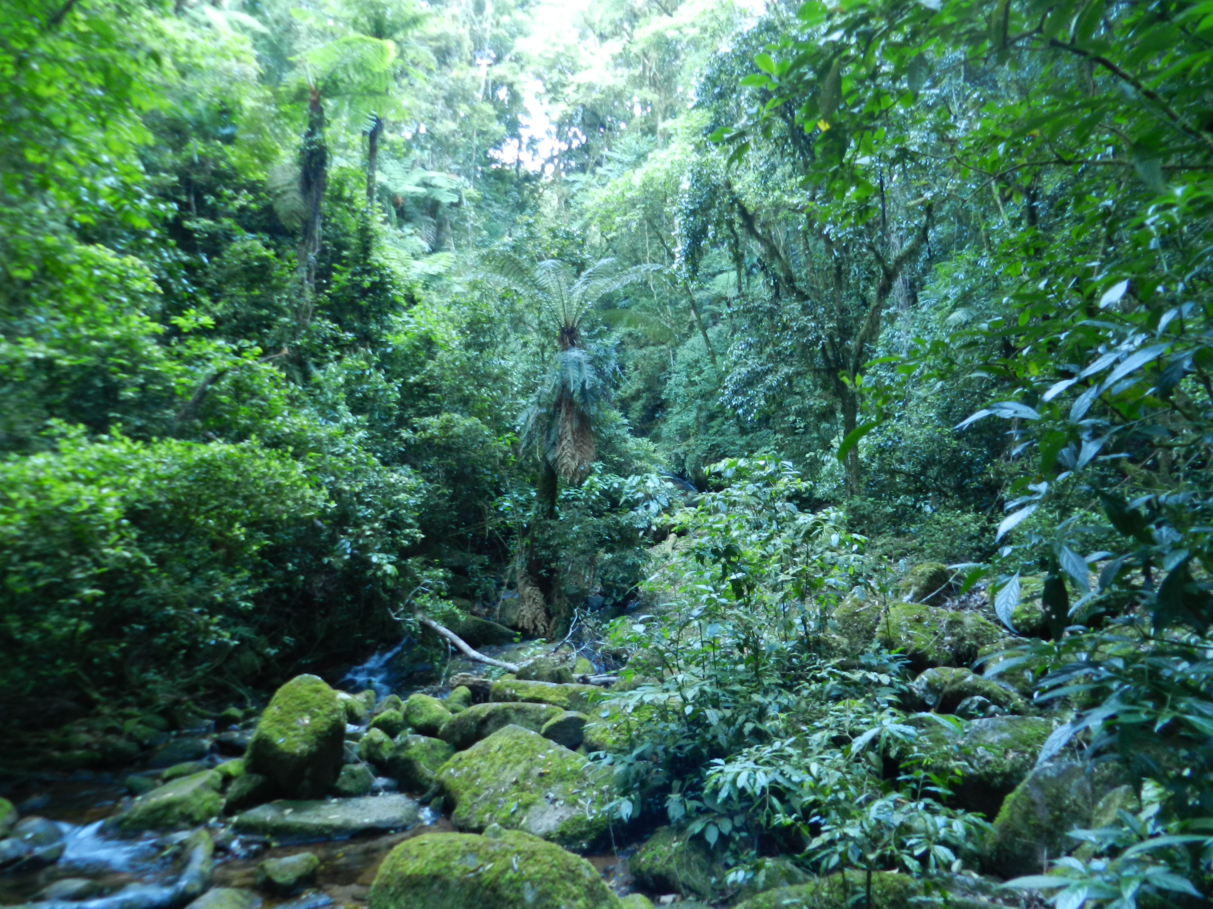 Fieldwork