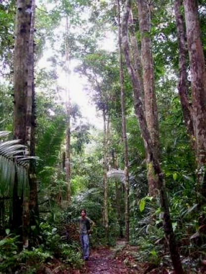 Fieldwork