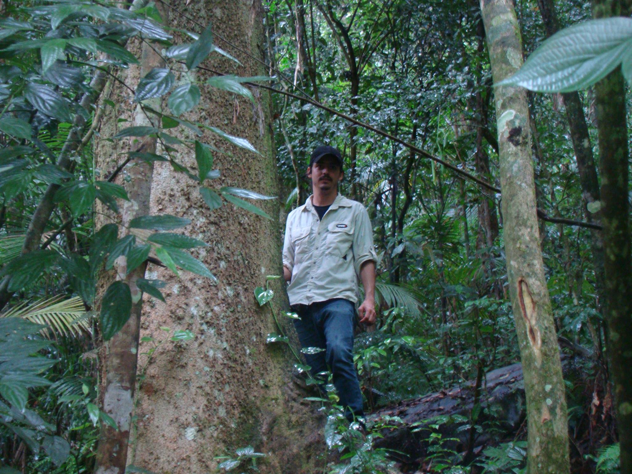 Fieldwork