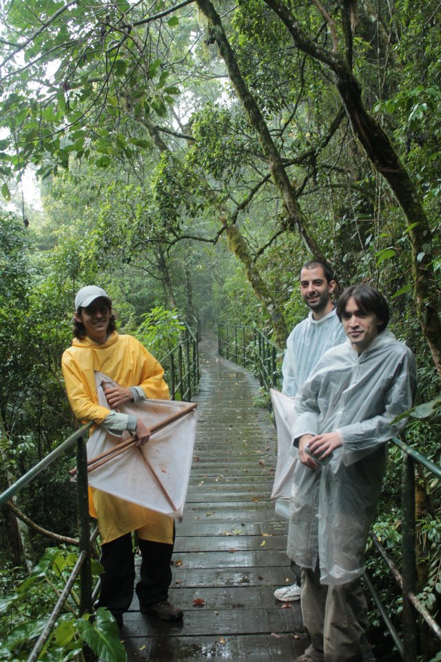 Fieldwork