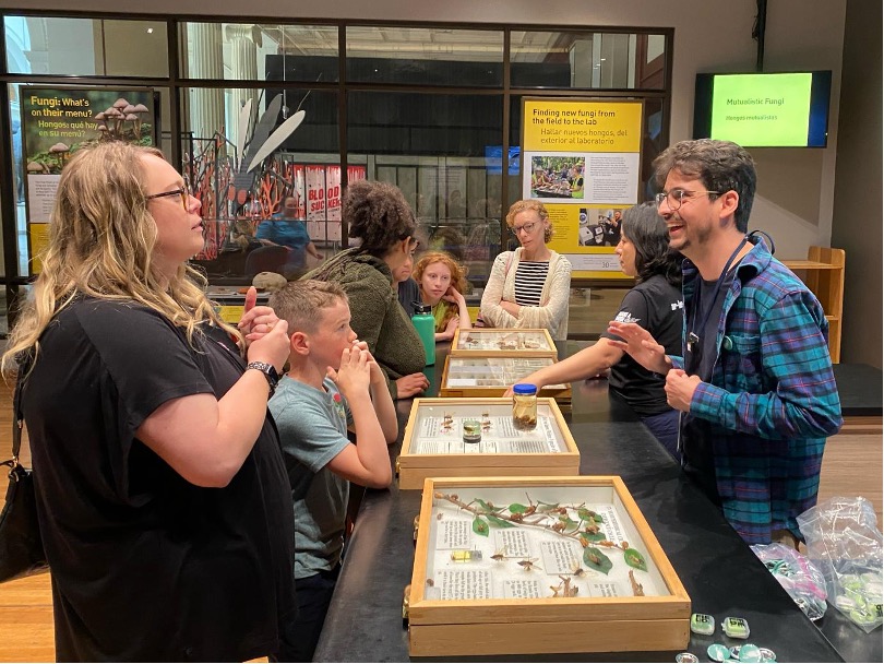 Cicadas table station at the Grainger Science Hub